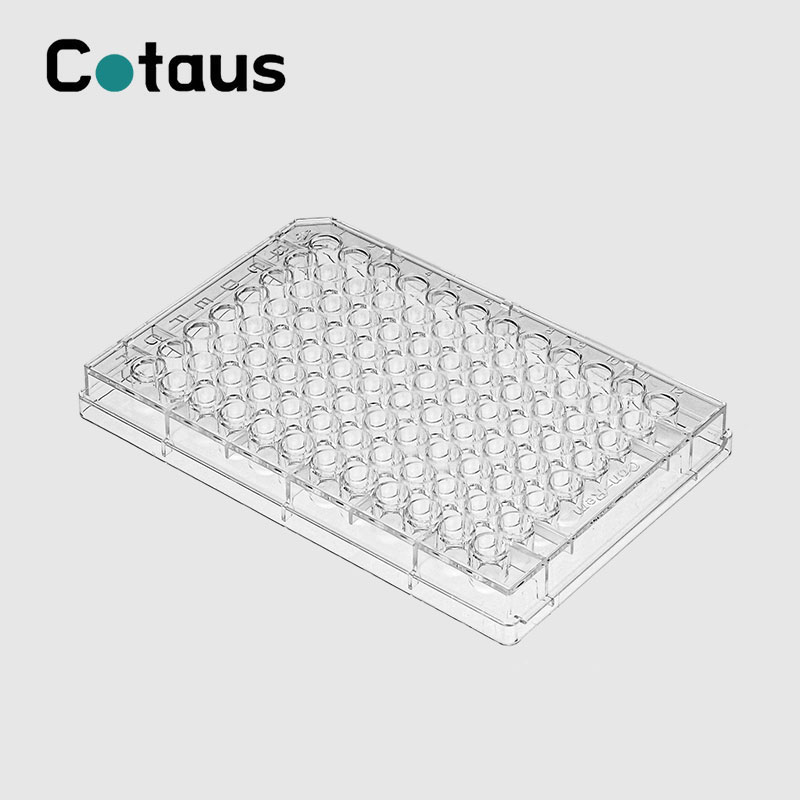 Aféierung vun Elisa Plate