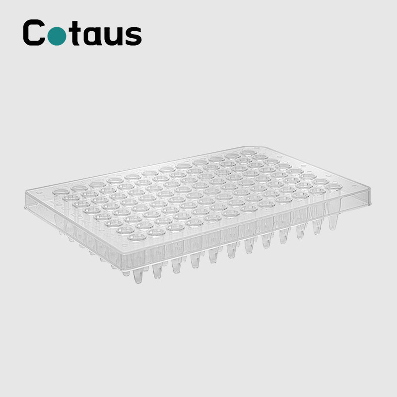 96 Wuel 0,2ml Transparent Halschent Rock PCR Plate