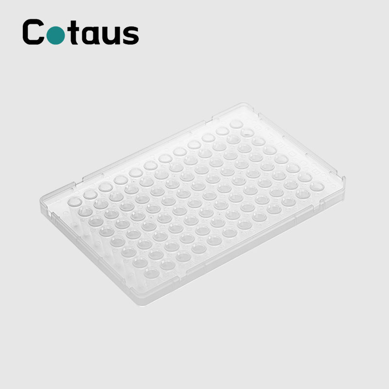 96 Wuel 0,1ml duebel Faarf Full Rock PCR Plate