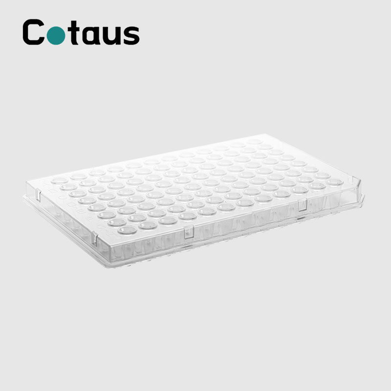 96 Wuel 0,1ml Transparent Halschent Rock PCR Plate