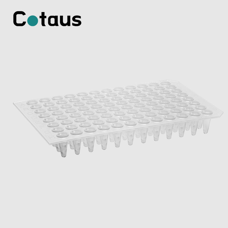 96 Wuel 0,2ml Transparent Nee Skirt PCR Plate